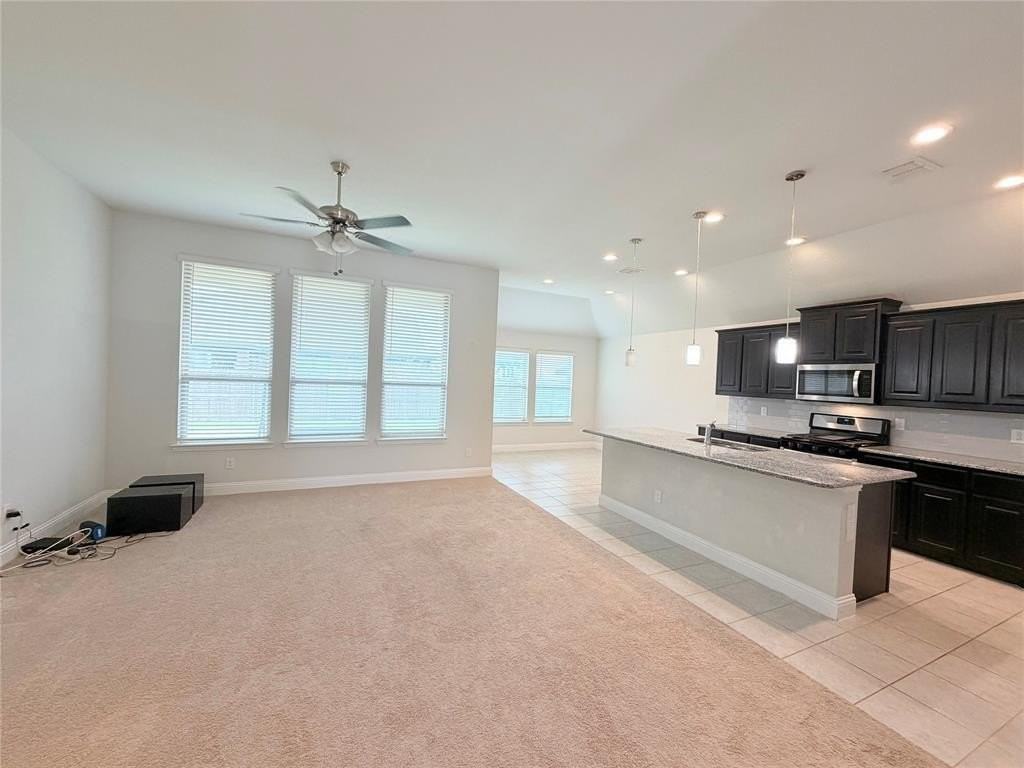 11037 Silver Falls Ct - Photo 4 of 15