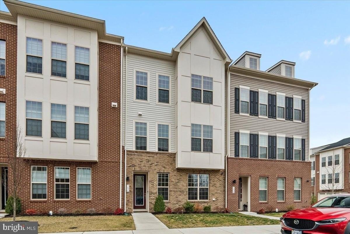 1636 Field Sparrow Ter Ne