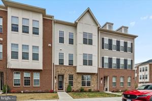 featured image of 1636 Field Sparrow Ter Ne