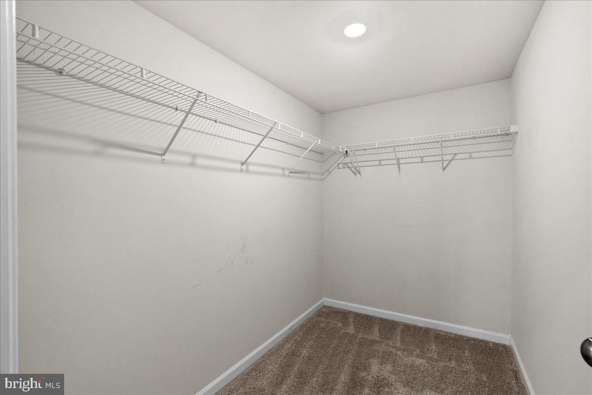 1636 Field Sparrow Ter Ne - Photo 5 of 34