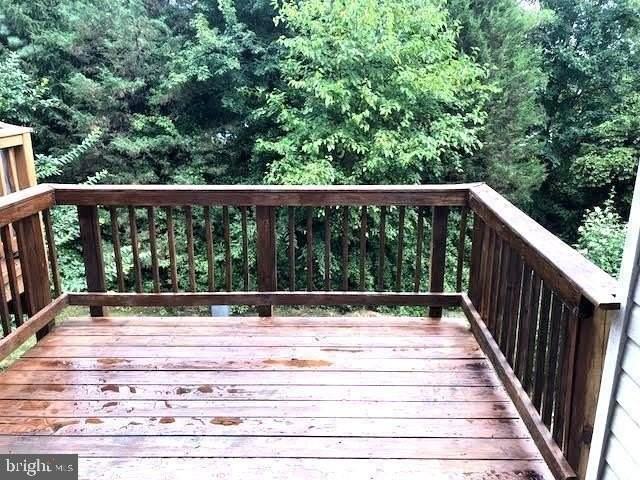 14028 Madrigal Dr - Photo 6 of 19