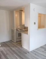 1956 Ivy St #4 - Photo 1 of 1