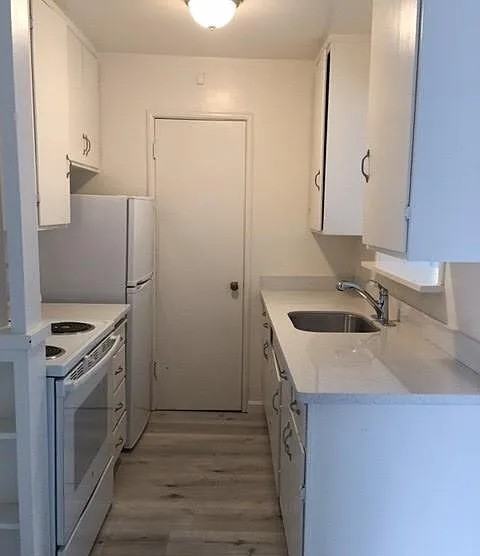 1956 Ivy St #4 - Photo 2 of 8