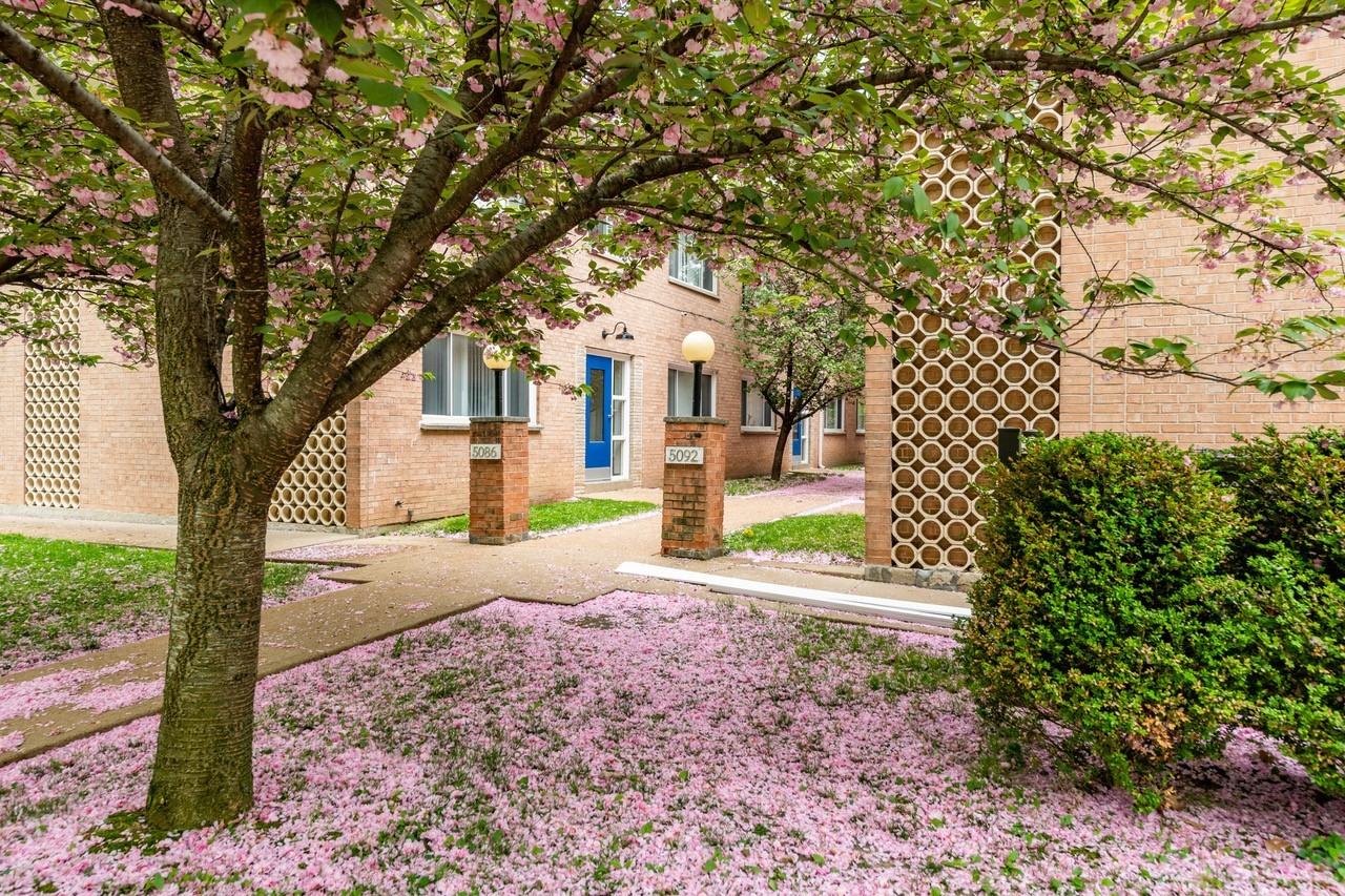 5086 Waterman Blvd #5086-2C - Photo 3 of 9