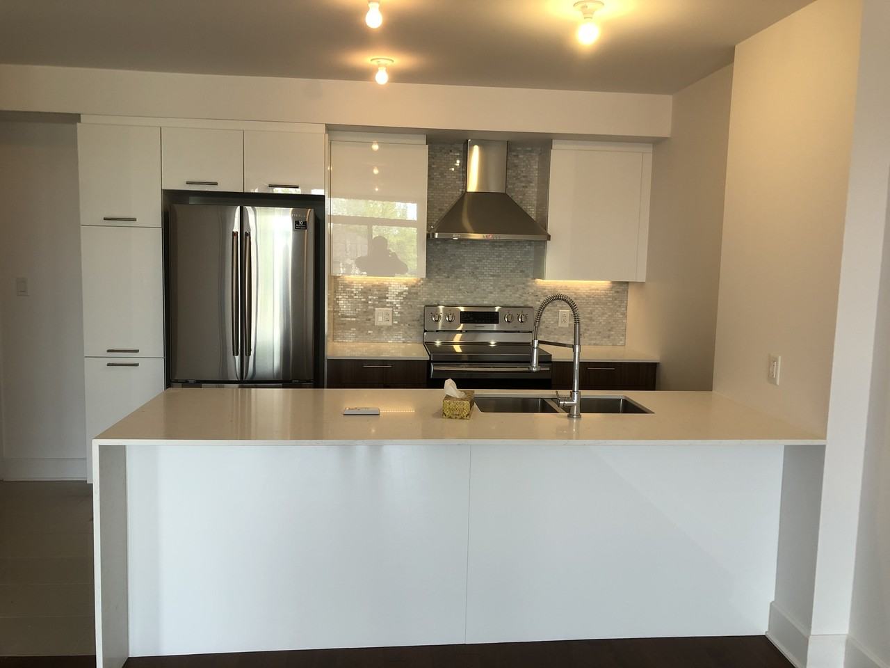 355 Boul Brunswick #208 - Photo 7 of 13