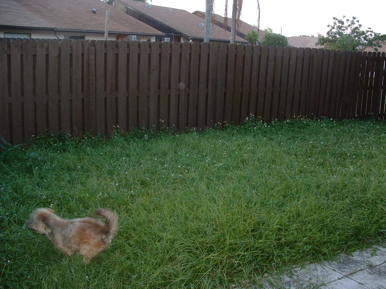 5667 Barnstead Cir - Photo 7 of 8