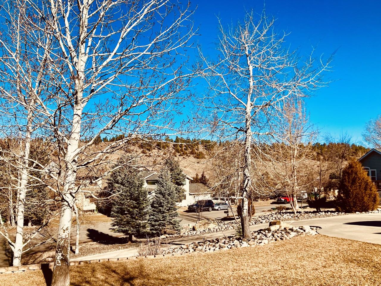 3036 Kincaid Rd #1B - Photo 4 of 17