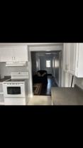 43 Gunn St - Photo 1 of 1