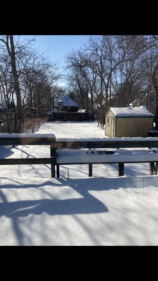 43 Gunn St - Photo 7 of 7