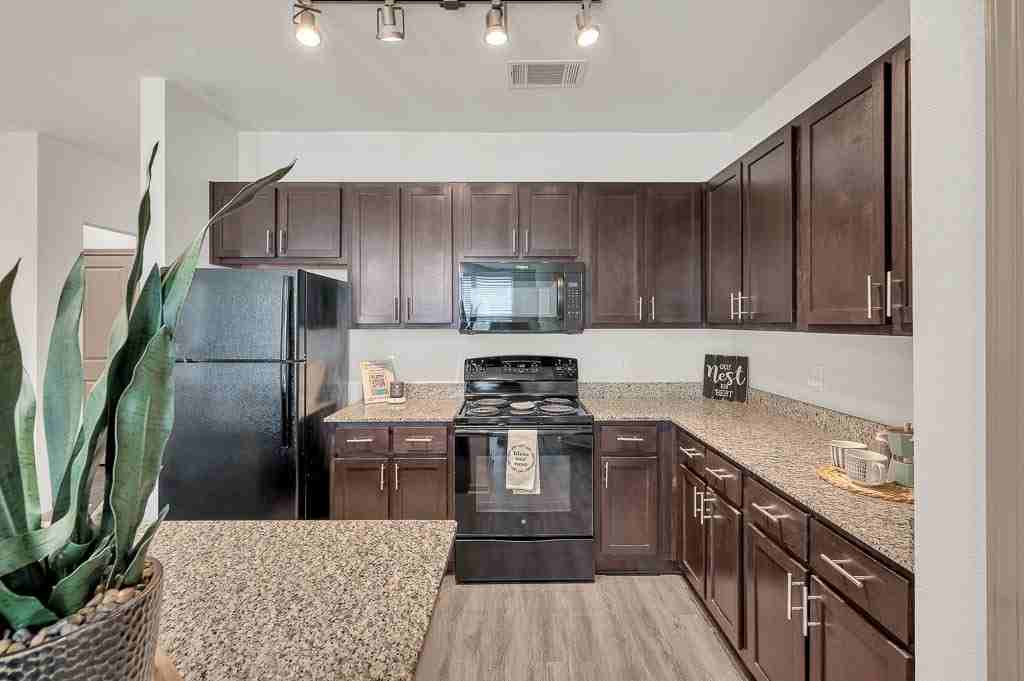 Anatole at Norman - Photo 2 of 48