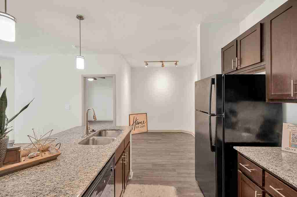 Anatole at Norman - Photo 3 of 48