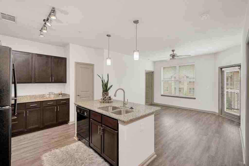 Anatole at Norman - Photo 5 of 48