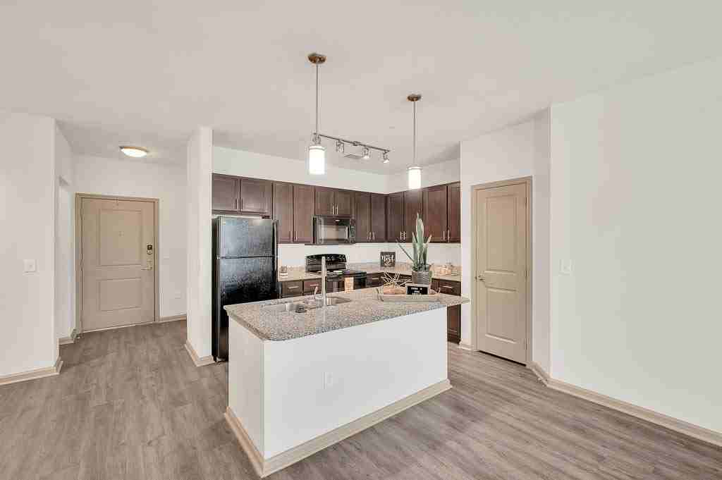 Anatole at Norman - Photo 6 of 48