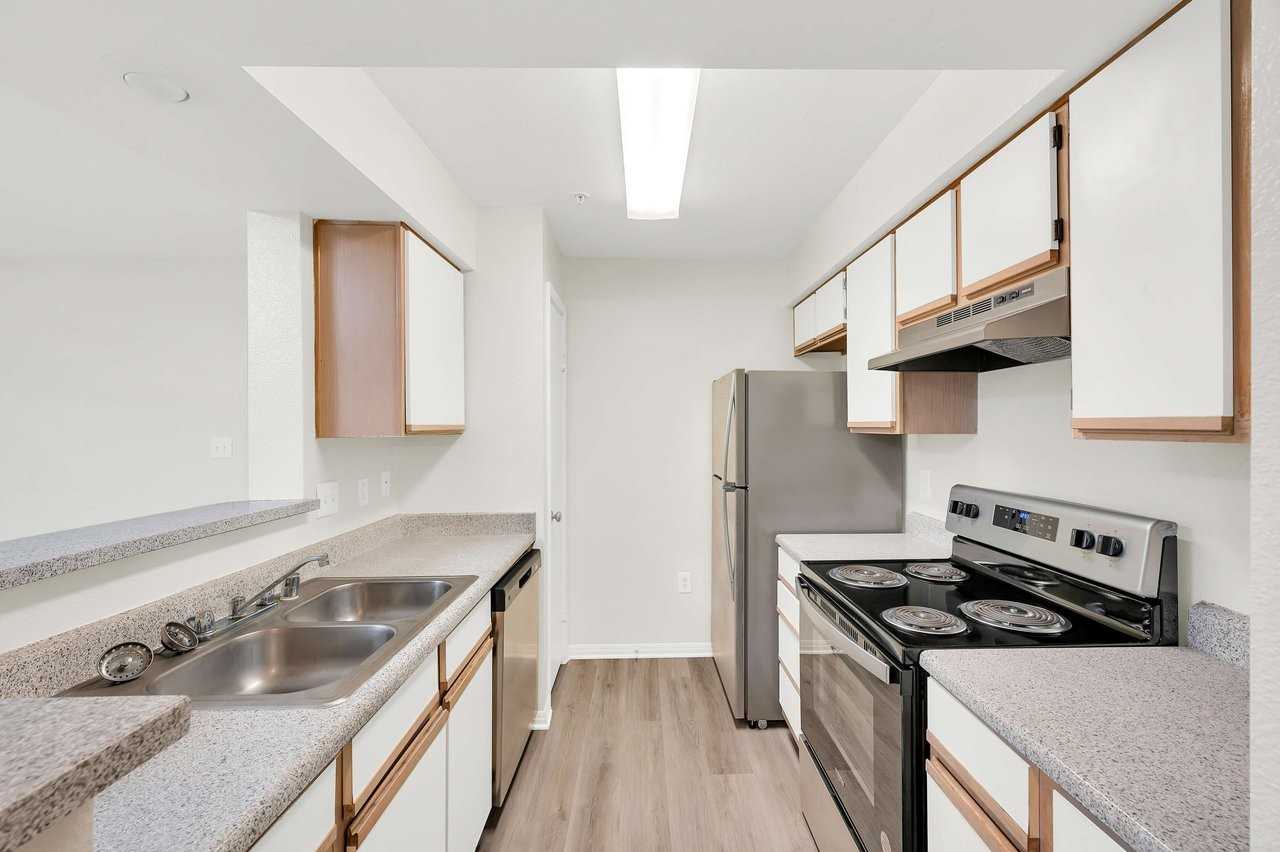 Forest View - Photo 2 of 32