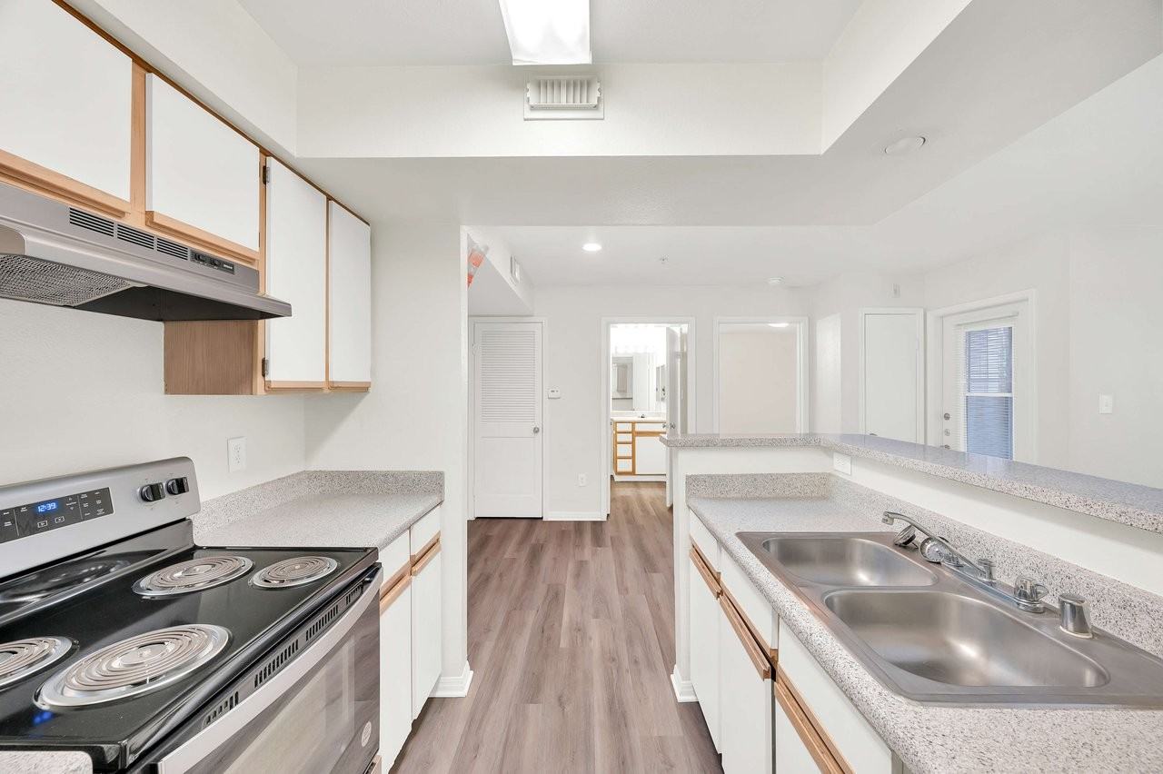 Forest View - Photo 3 of 32