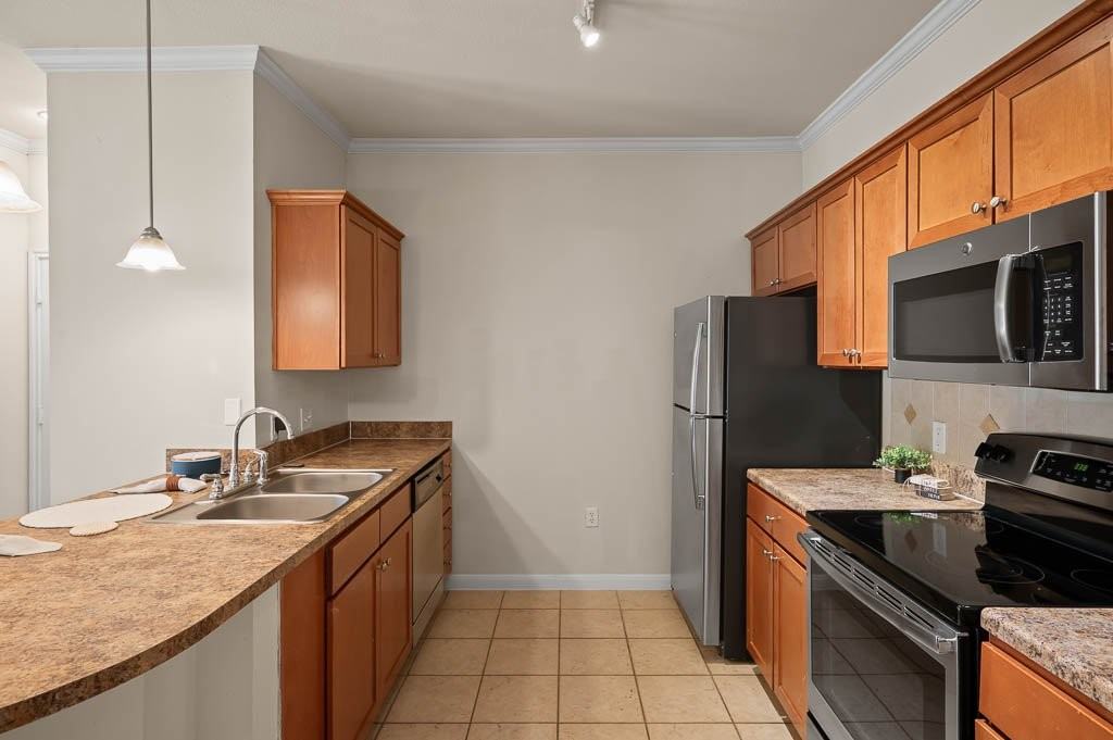 Belterra - Photo 2 of 42