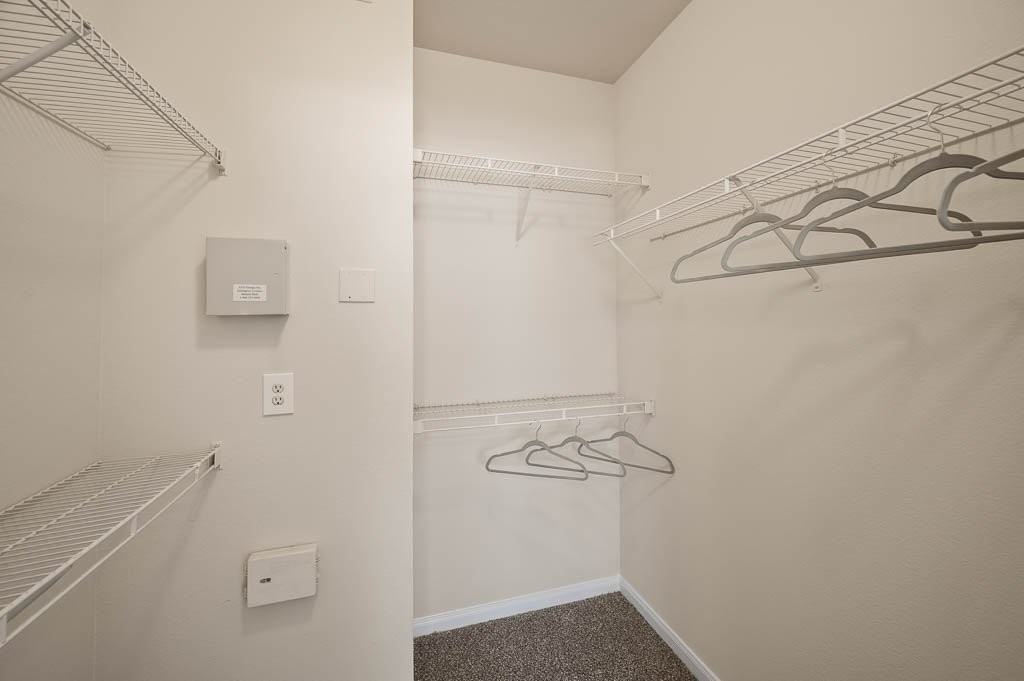 Belterra - Photo 6 of 42
