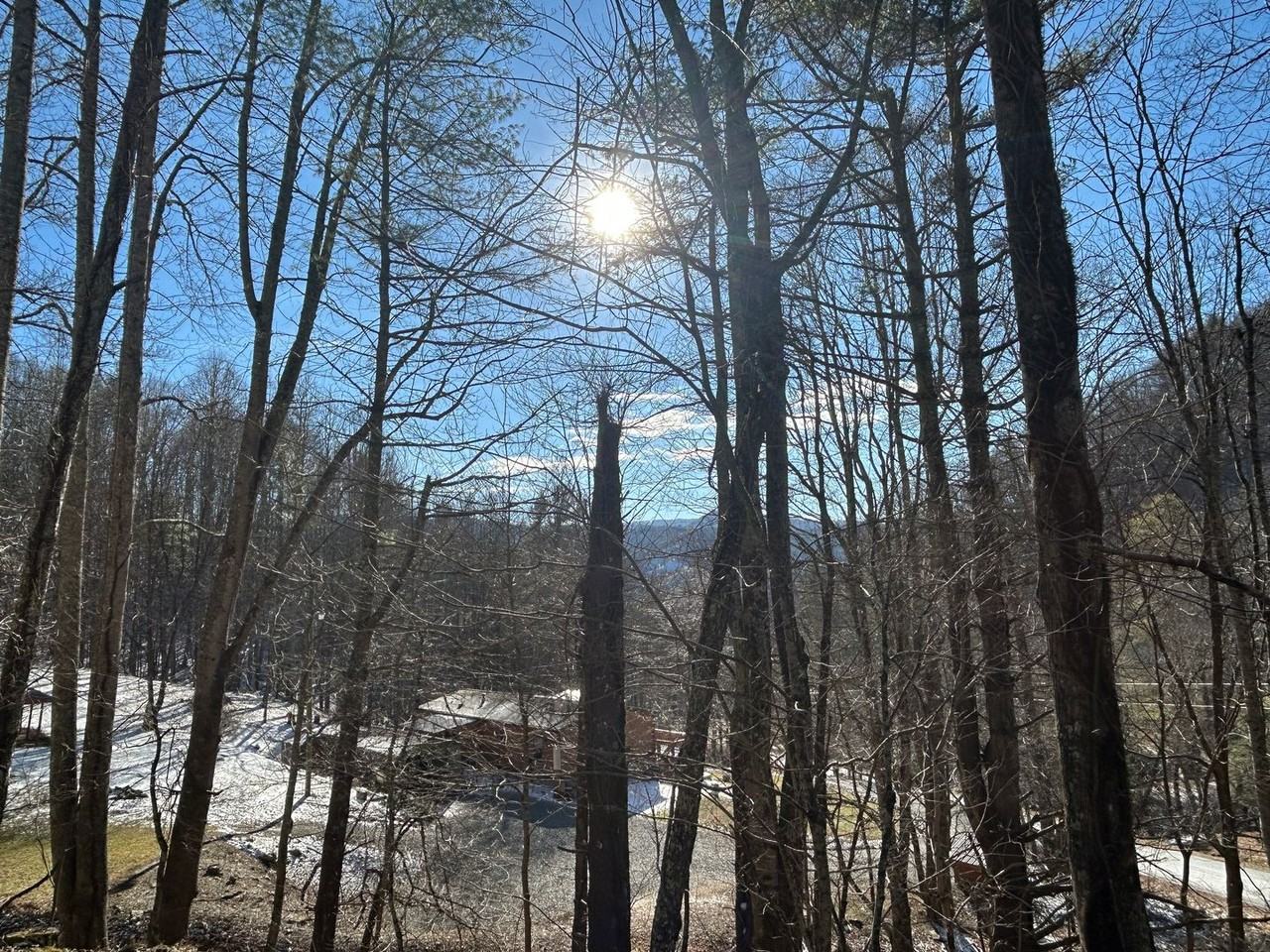 560 Wards Branch Rd - Photo 3 of 30