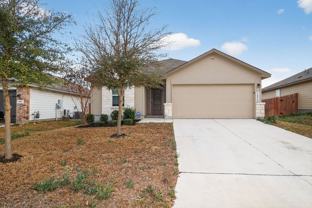 14810 Cave Swallow - Photo 1 of 1