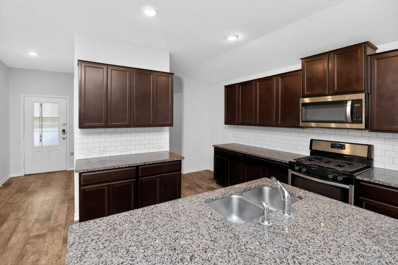 14810 Cave Swallow - Photo 5 of 16