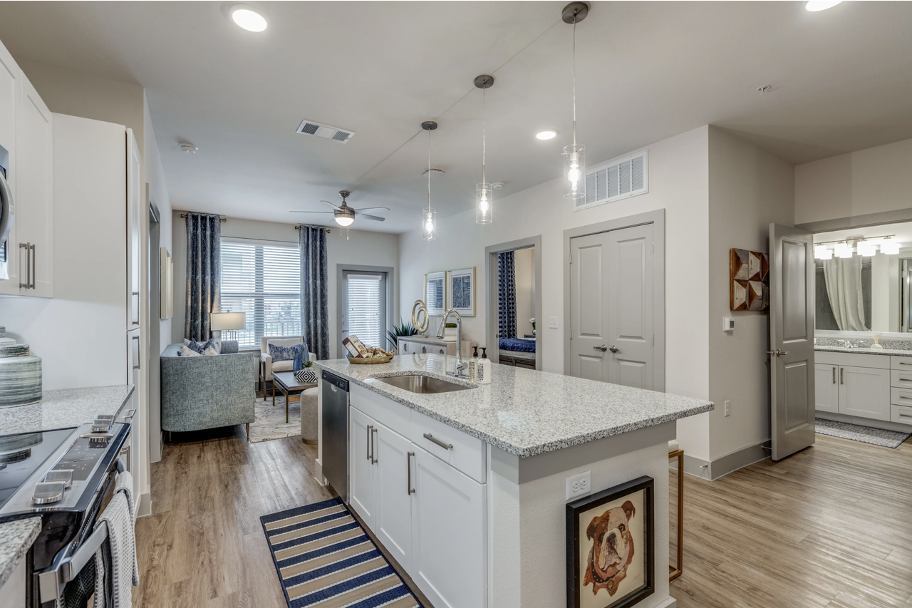 TX-5 & E Finley Blvd #8307 - Photo 3 of 18