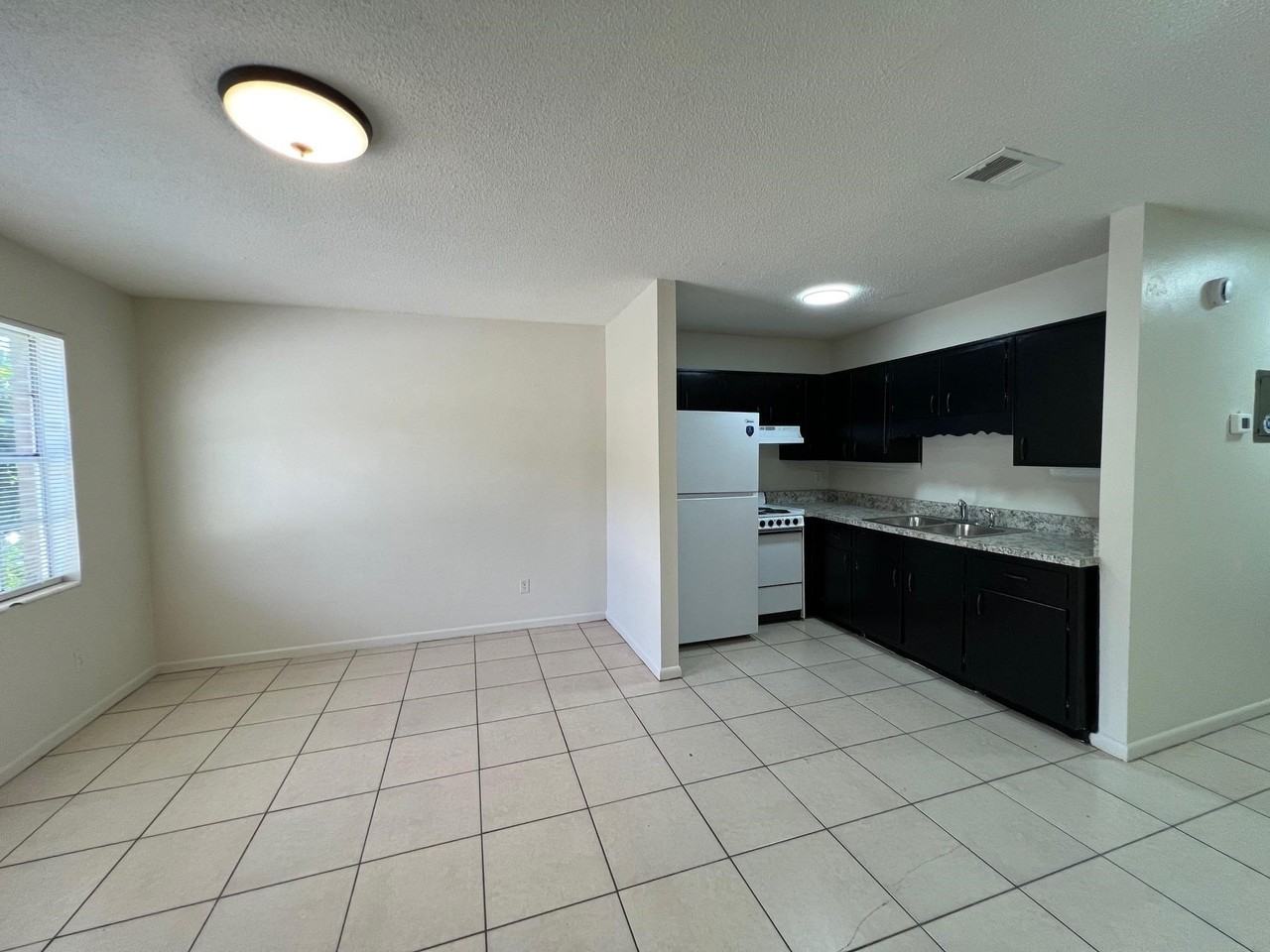 411 W 5th Ave #D6 - Photo 4 of 13