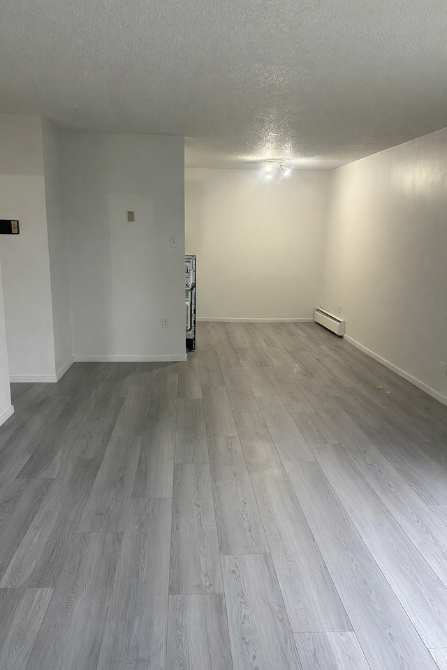 Shannon Gardens - Photo 3 of 6