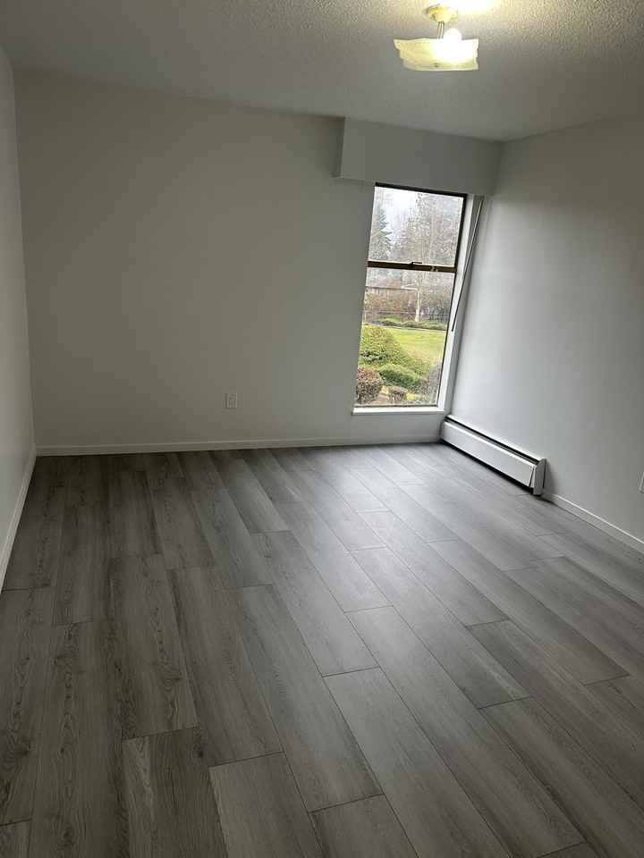 Shannon Gardens - Photo 4 of 6