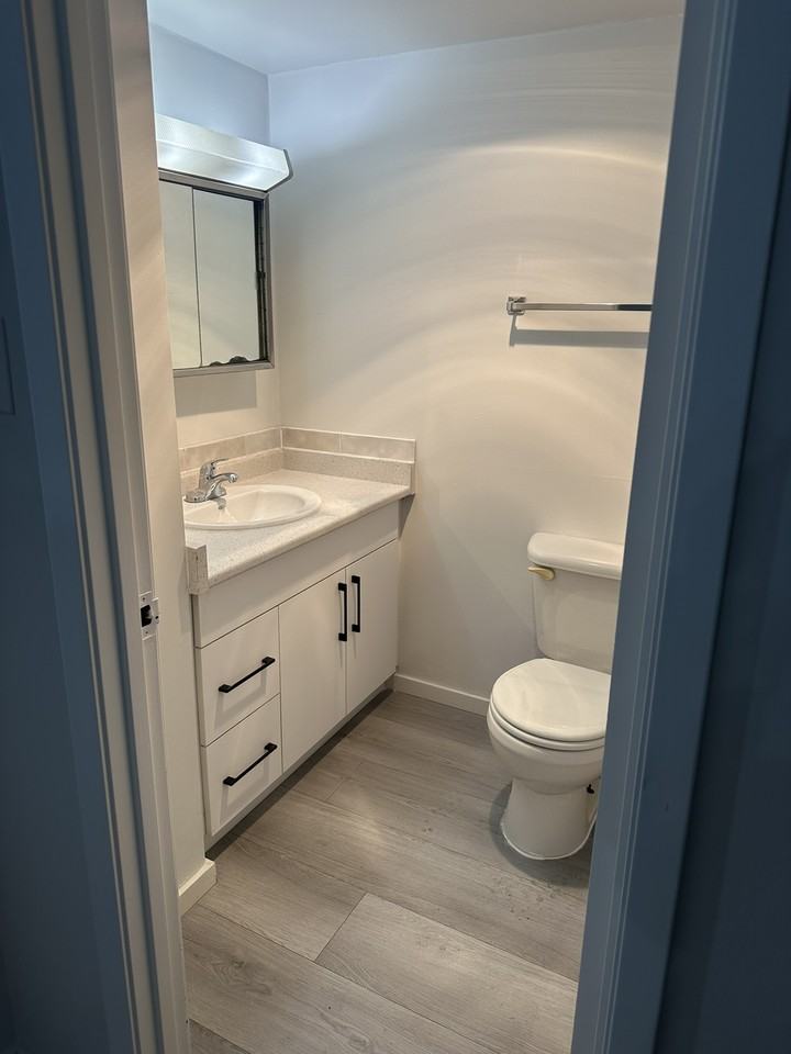 Shannon Gardens - Photo 6 of 6