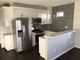 Juniper - Photo 1 of 1