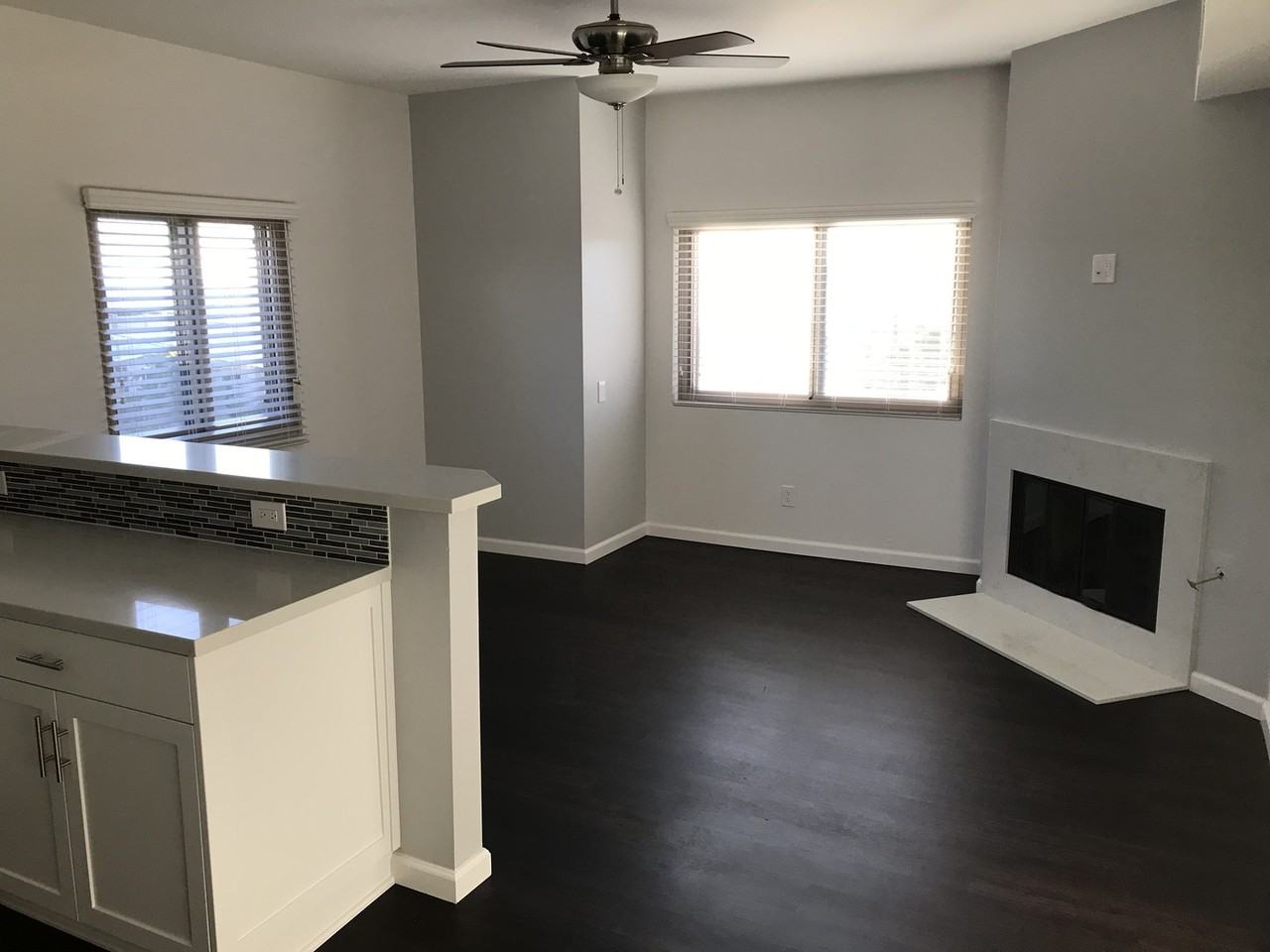 Juniper - Photo 4 of 25