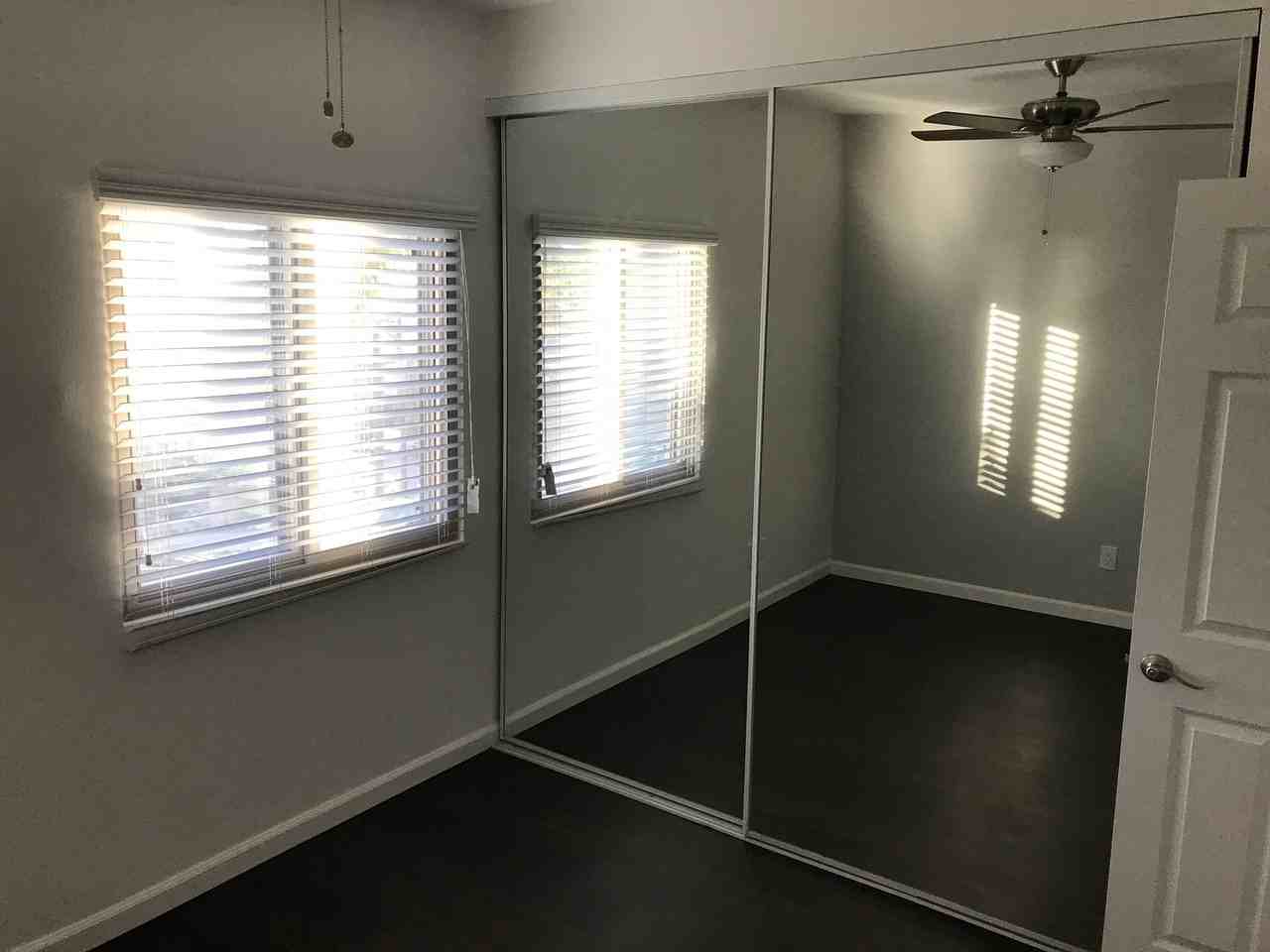 Juniper - Photo 6 of 25