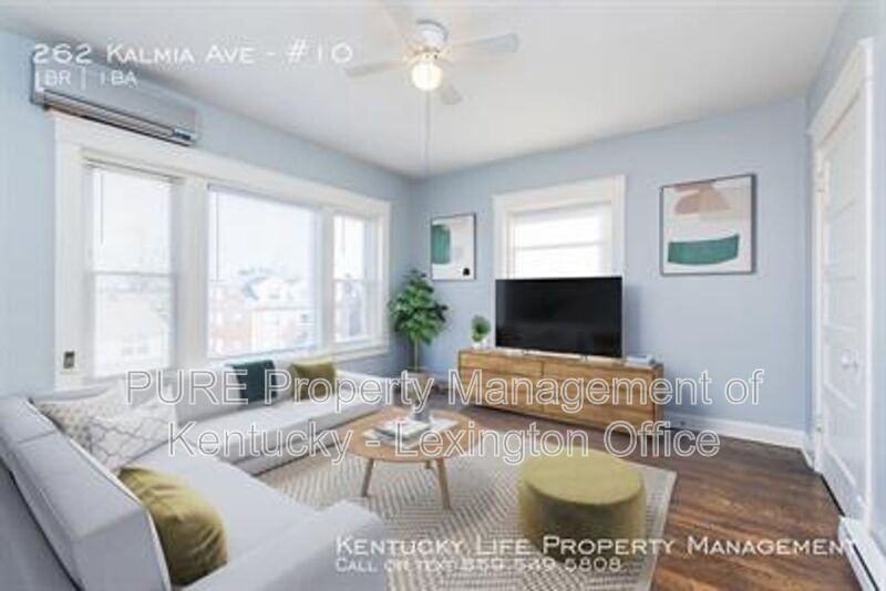 262 Kalmia Ave #3 - Photo 2 of 17