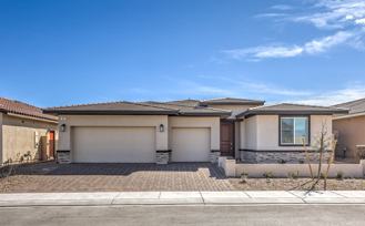 497 Chestnut Falcon Ave - Photo 1 of 1