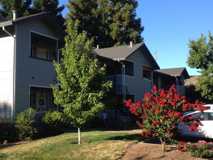 Cameo Village - Photo 1 of 1