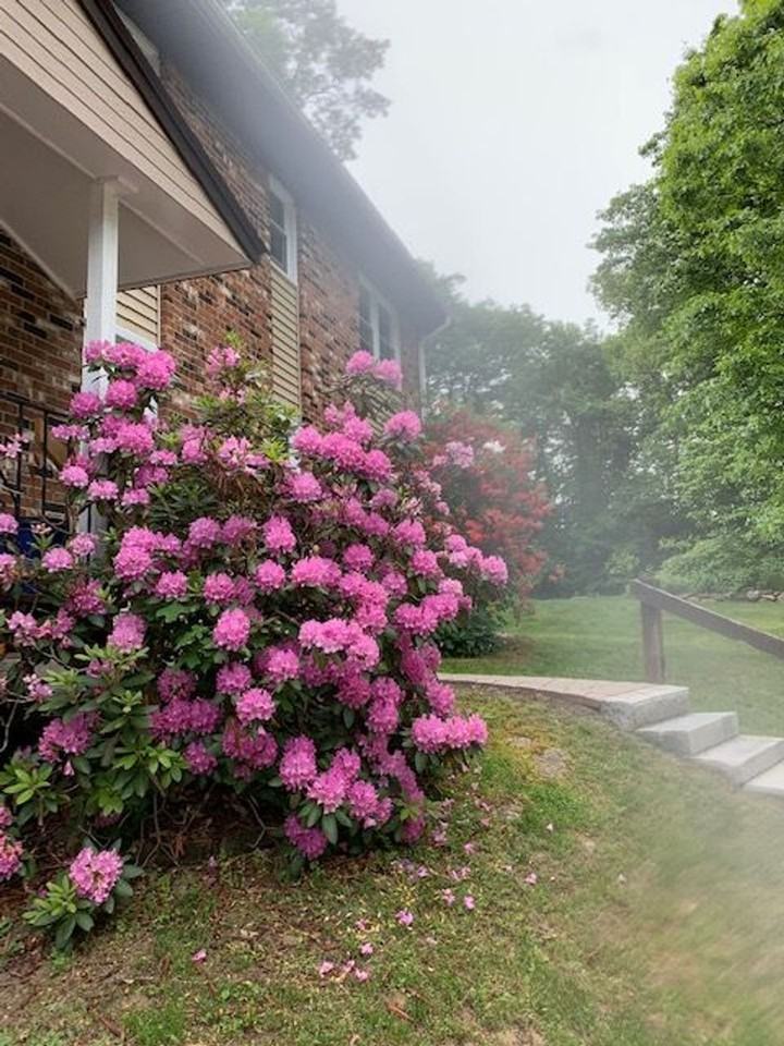 Two Bedroom unit, hot water included, free storage, porch, laundry, parking - Photo 4 of 10