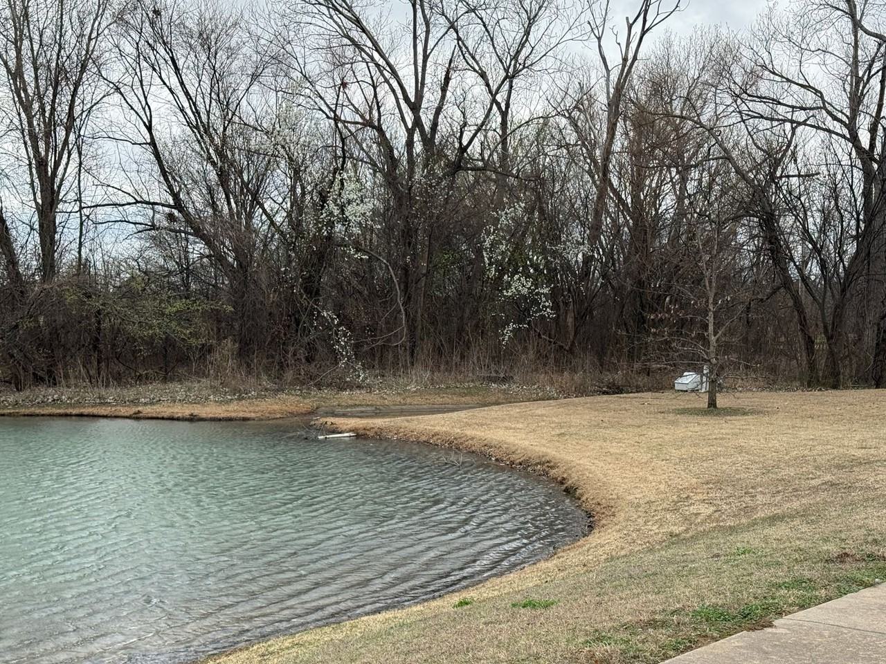 4204 W Laredo St - Photo 6 of 49