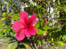 featured image of 192 E Port Hueneme Rd