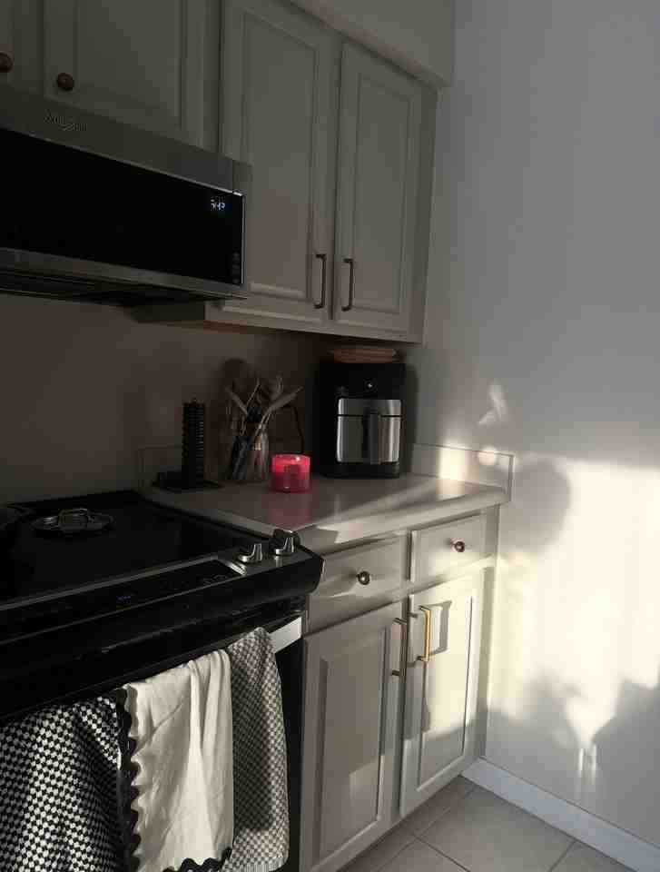 219 Dorchester Sq - Photo 4 of 12