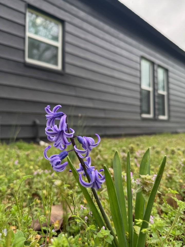 1700 S W St #NA - Photo 5 of 15