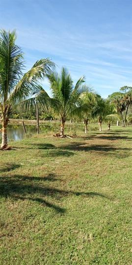 9650 Merle Dr #2 - Photo 2 of 50