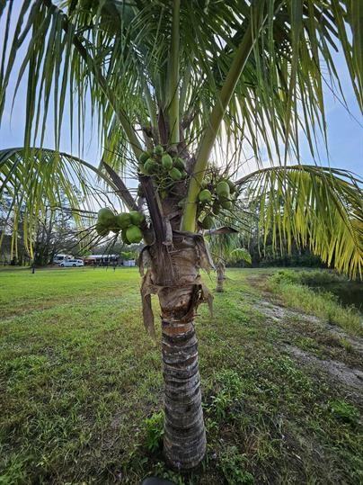 9650 Merle Dr #2 - Photo 4 of 50