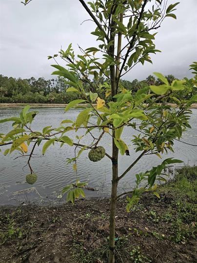 9650 Merle Dr #2 - Photo 5 of 50