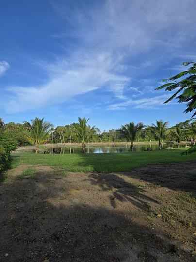 9650 Merle Dr #2 - Photo 6 of 50