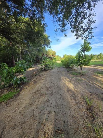 9650 Merle Dr #2 - Photo 7 of 50