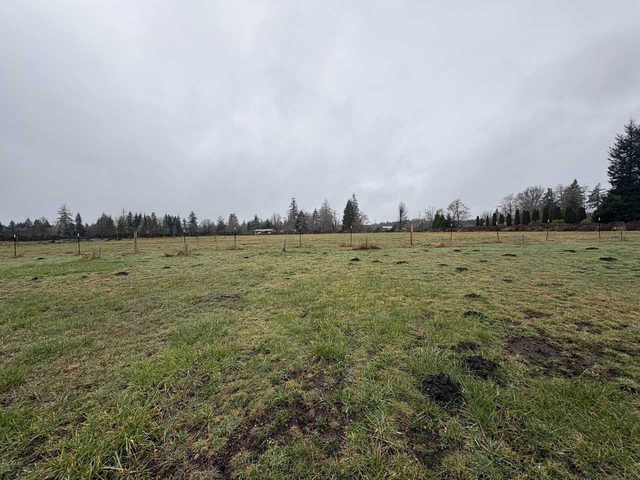 130 W Doggone Ln #1 - Photo 3 of 19