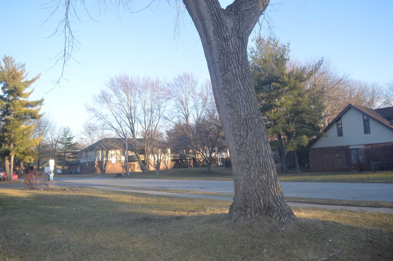 710 Knoxbury Drive #1 - Photo 5 of 17