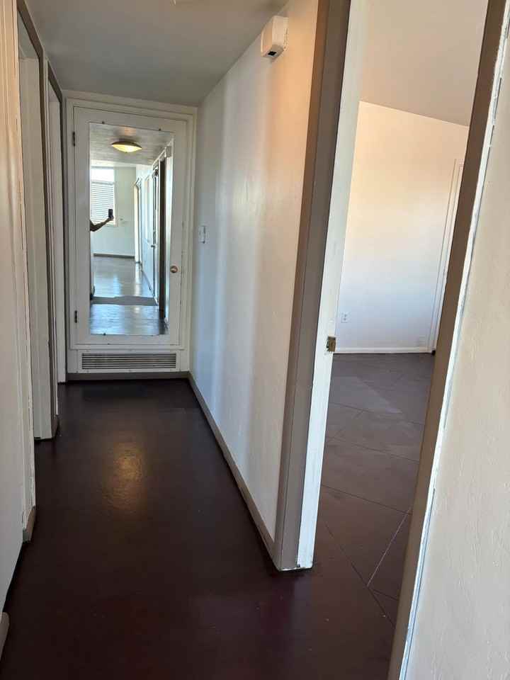 543 N Avenida Calma - Photo 7 of 15