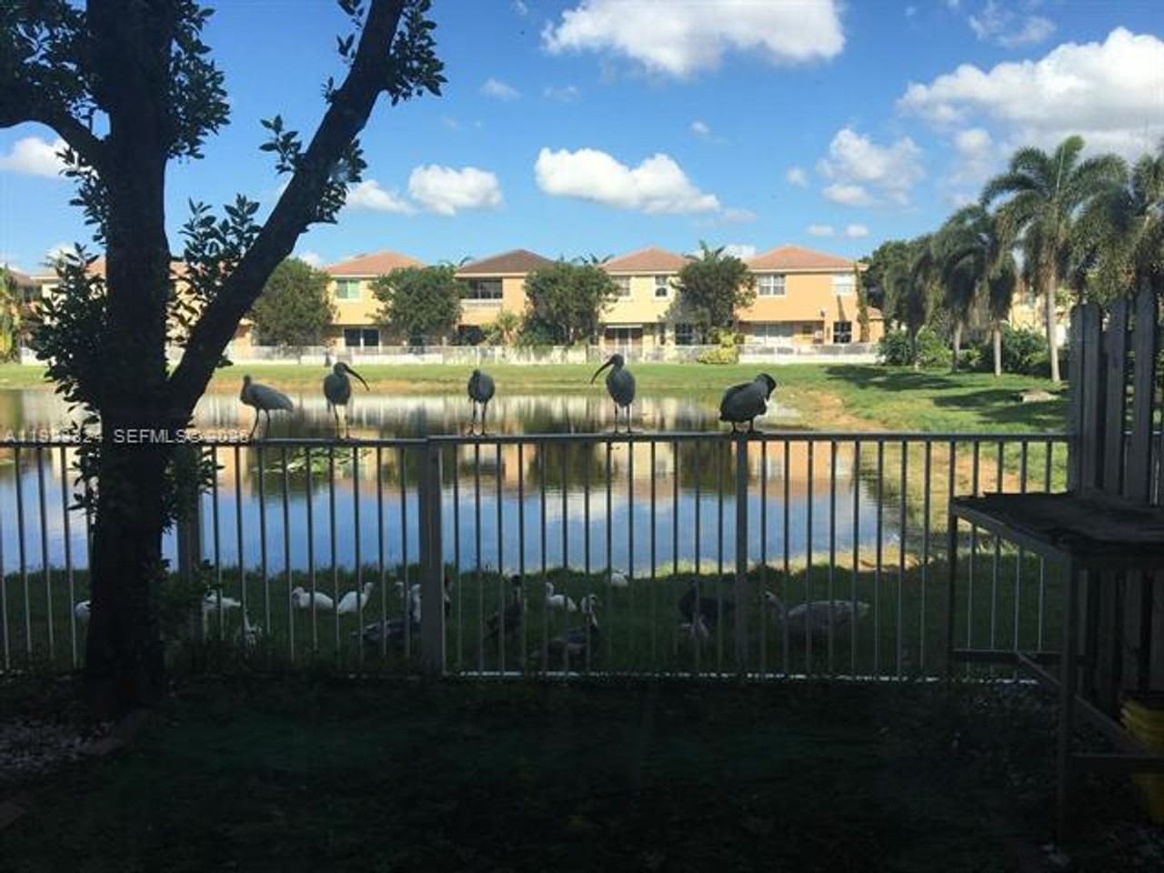 10803 10803 NW 83rd St th 6-1 #1 - Photo 3 of 25