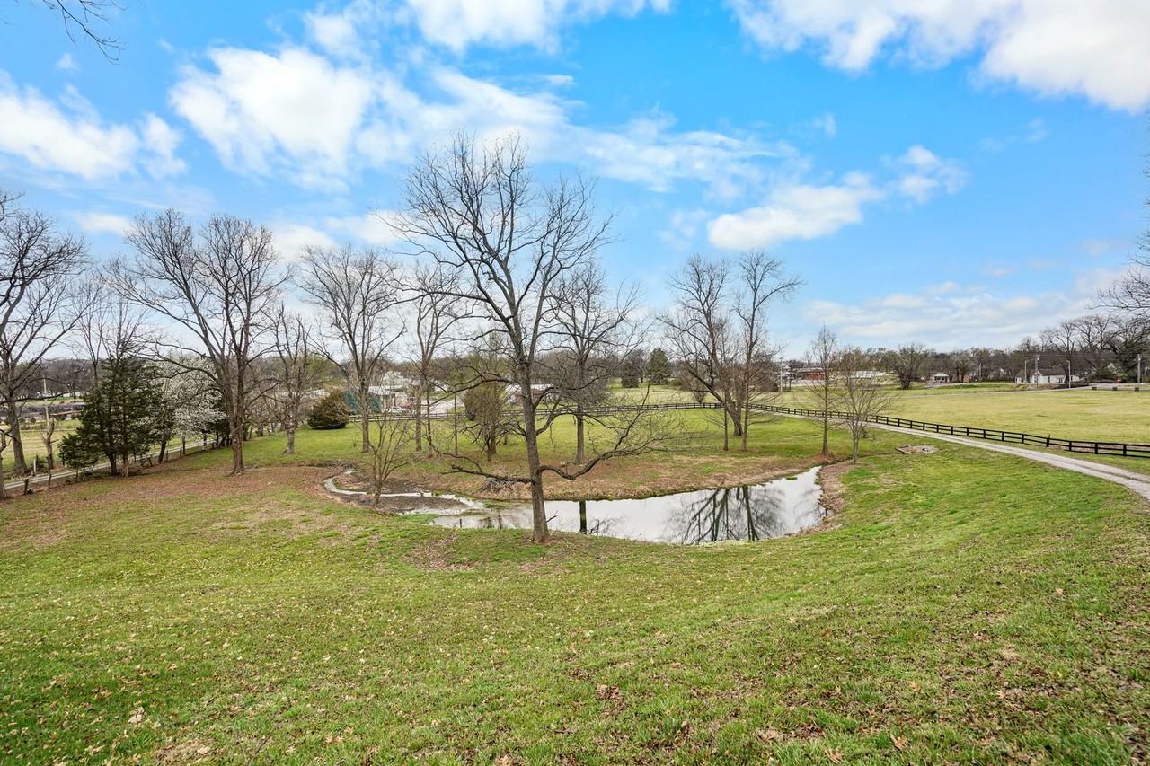 251 Cheatham Springs Rd - Photo 3 of 36